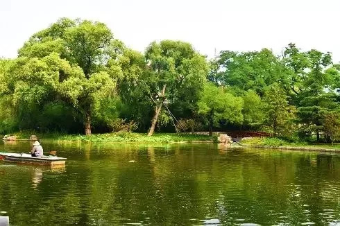 出游|玉渊潭公园的这个园中园才是最美湿地~