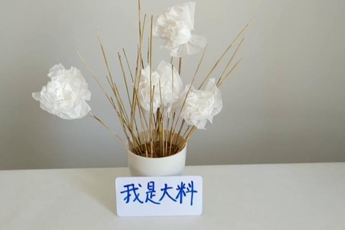 树是怎么做成卫生纸的 5718C32902B36816CA4BBFDA151E62F5839E90F6_size22_w710_h473.jpeg