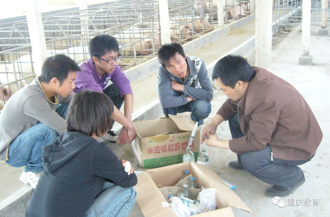 身边的教书育人楷模丨一位职业教育人的写意人