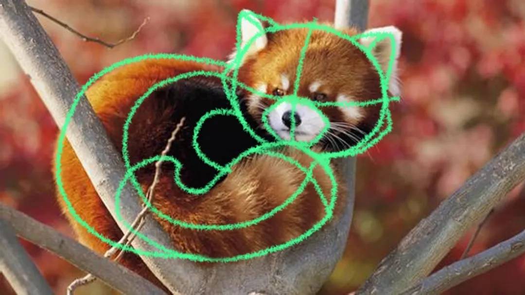 手把手简单几步教你绘制Q版彩铅小熊猫教程图标写实图片