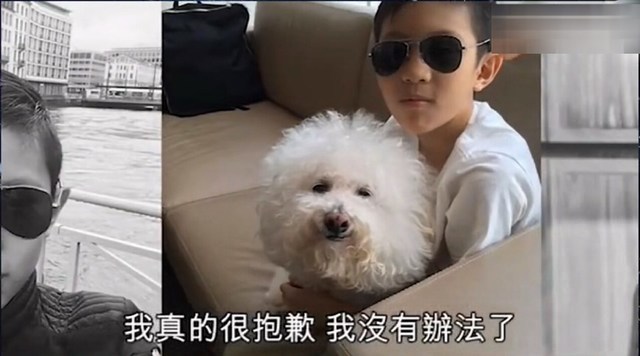 47岁的袁咏仪怀上二胎?她的回应让人哭笑不得