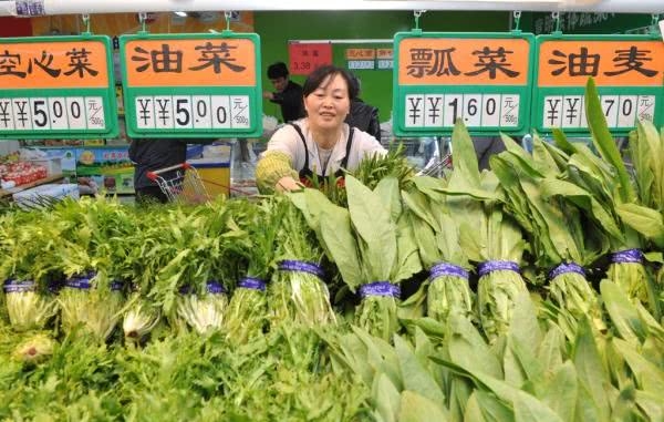 中国一年总收入_中国最豪华的村庄,村内家家住别墅,一年总收入高达524.5亿(2)