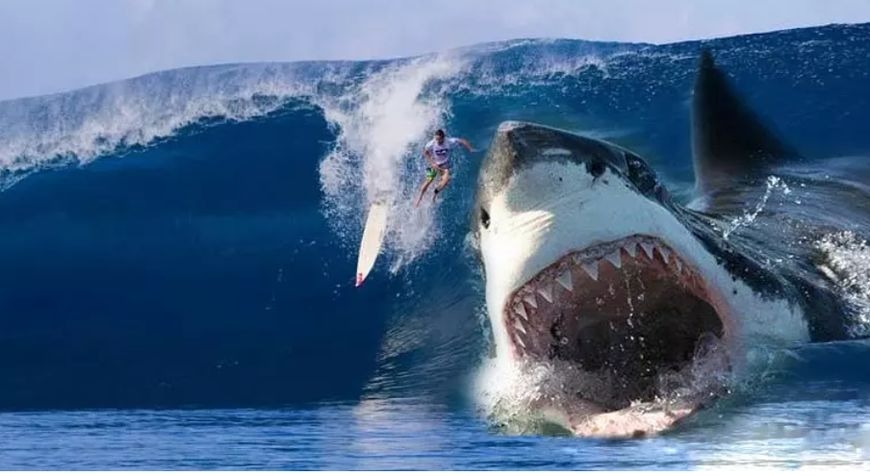 《大白鲨》可能是所有鲨鱼电影的鼻祖,但这绝