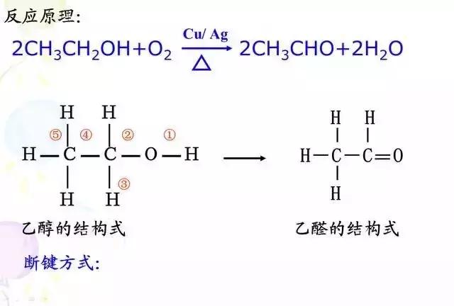 距取消92号汽油还有16个月！汽车改喝