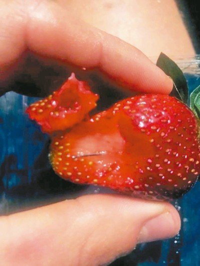 草莓里被藏针 澳大利亚各地多人中招