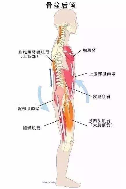 脖子越来越粗,背越来越厚,是经络不通!用瑜伽这