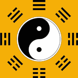 风水禅师点击关注可弹出隐藏图片 打开衣柜发现同色系的衣服竟有很多