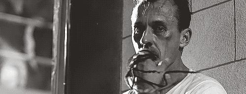 就是就成天想着越狱,再来点调剂买买腐.