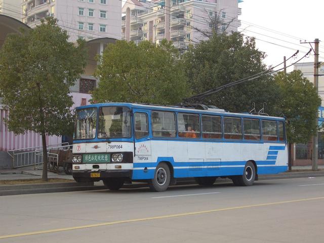 人糵60ˣһ޹糵