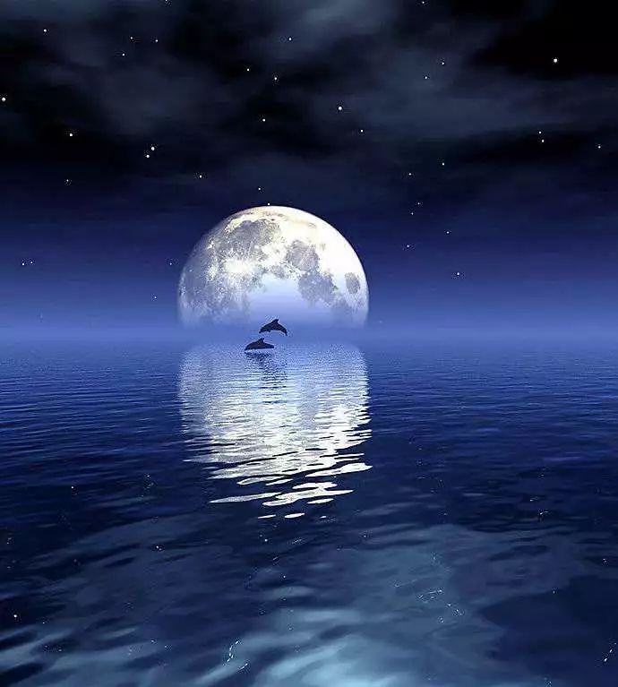 "海上升明月"的诗意景致.