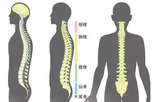 腰椎间盘突出:变直的腰椎,还能恢复曲度吗,一块