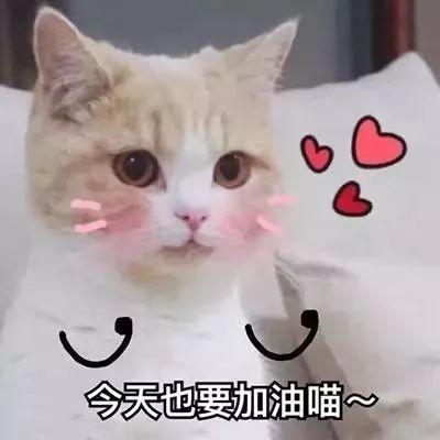 头像|我要去外太空了,回来摘星星给你