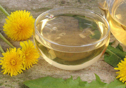 李时珍:蒲公英和它好搭档,连喝3天肾变强,口臭