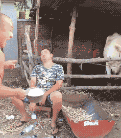 搞笑gif:你敢让姐睡不好,姐就敢让你睡不着!