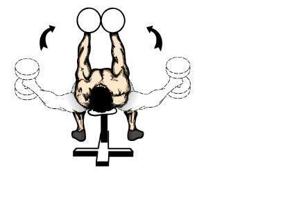 学会这些练胸动作,让你变身健身房最性感男人