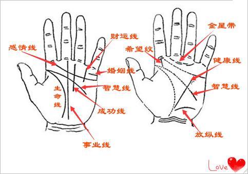 手相中:“元宝纹”与“三角纹”的富贵层次区别!