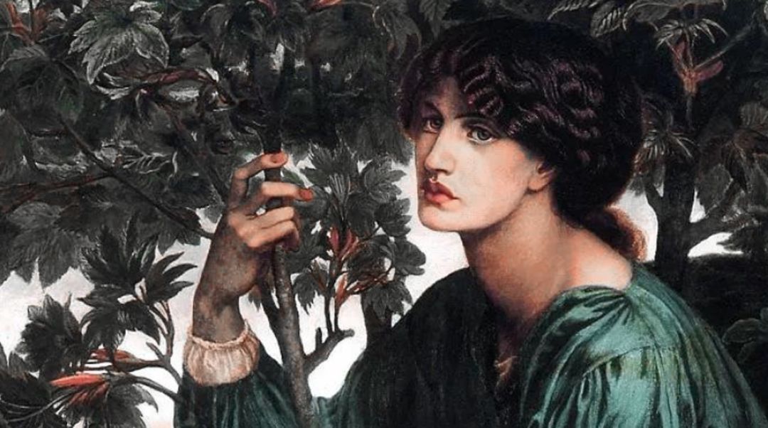 丨美境故事丨白日梦·境