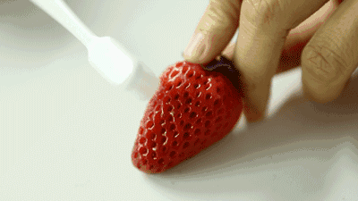 壁纸 矢量 水果 小果 植物 400_225 gif 动态图 动图