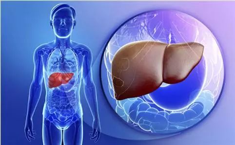 为什么肝功能检查正常，还会得肝癌?肝脏体检的所有秘密在这