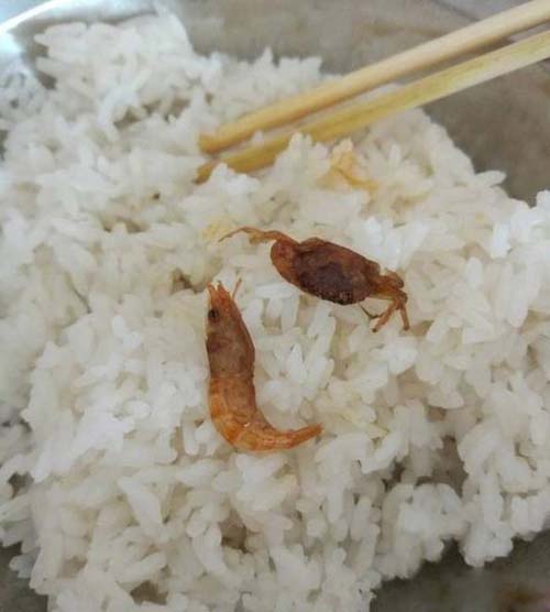 搞笑!精彩的搞笑图片每日一笑第六十七期