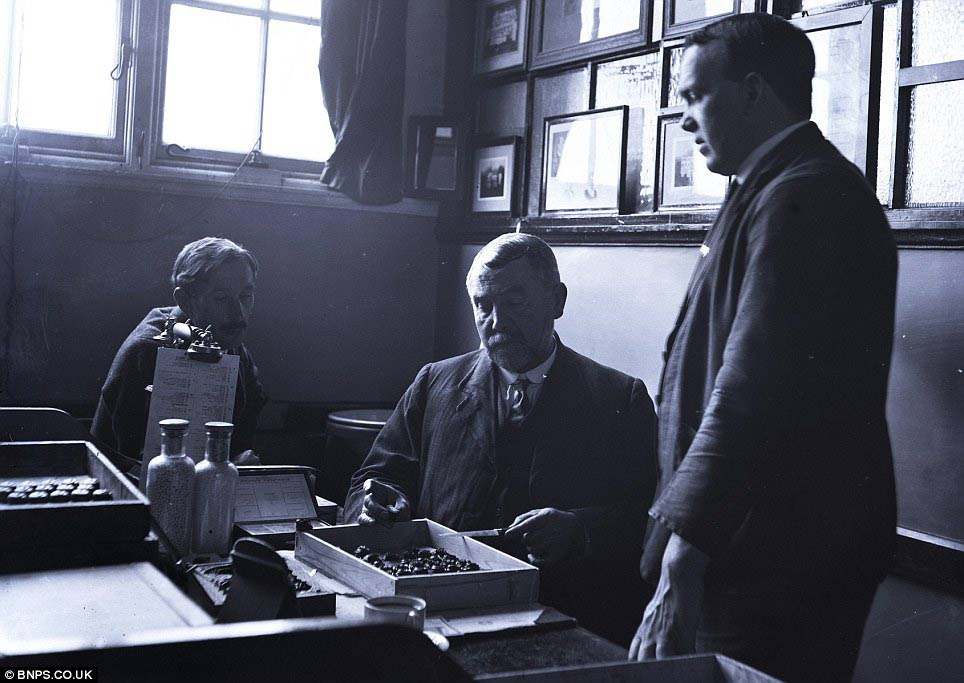 e8ec2e4e771743ac916ce06e7dcbd58a.jpg e8ec2e4e771743ac916ce06e7dcbd58a.jpg