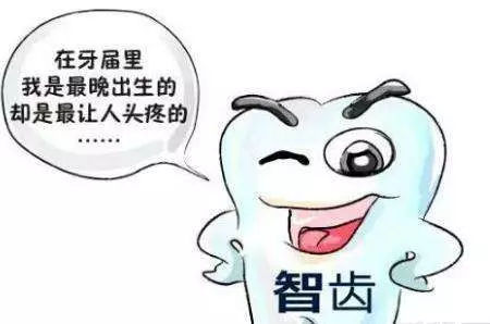智齿只是萌出的时间比较晚而已,和智慧半毛钱关系都没有.