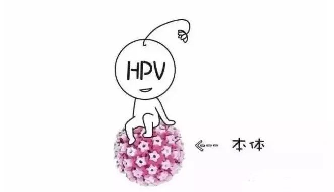 科普|宫颈癌预防率 90% 的 hpv 疫苗只有处女才能打?
