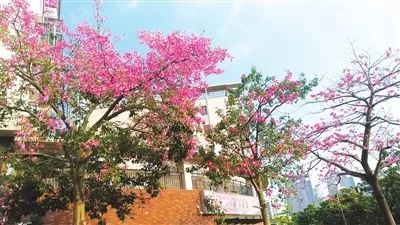 广东人的硬菜是啥?说起来可能会吓到你哈哈哈