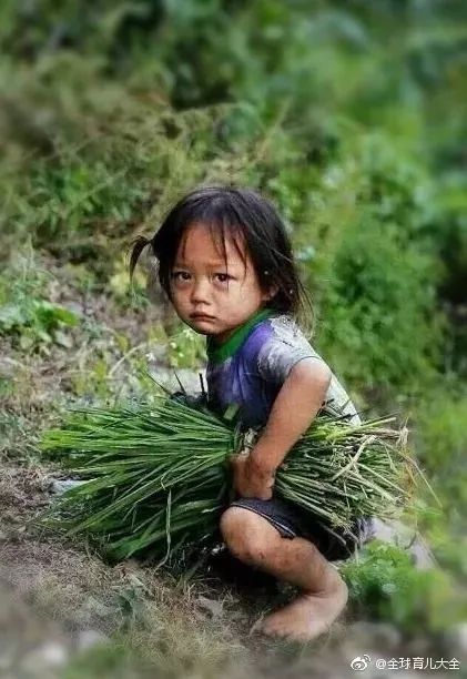 ▽ 一个4岁的小女孩, 在同龄人还懵懂不