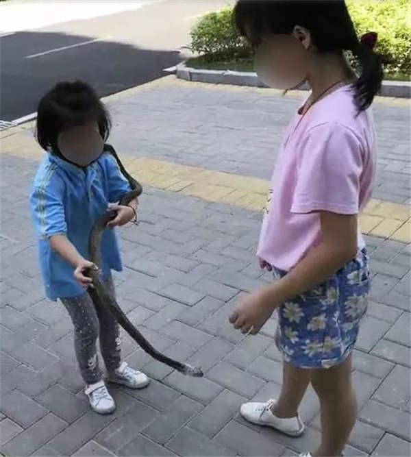 是真是假:遛蛇可以让孩子练胆?