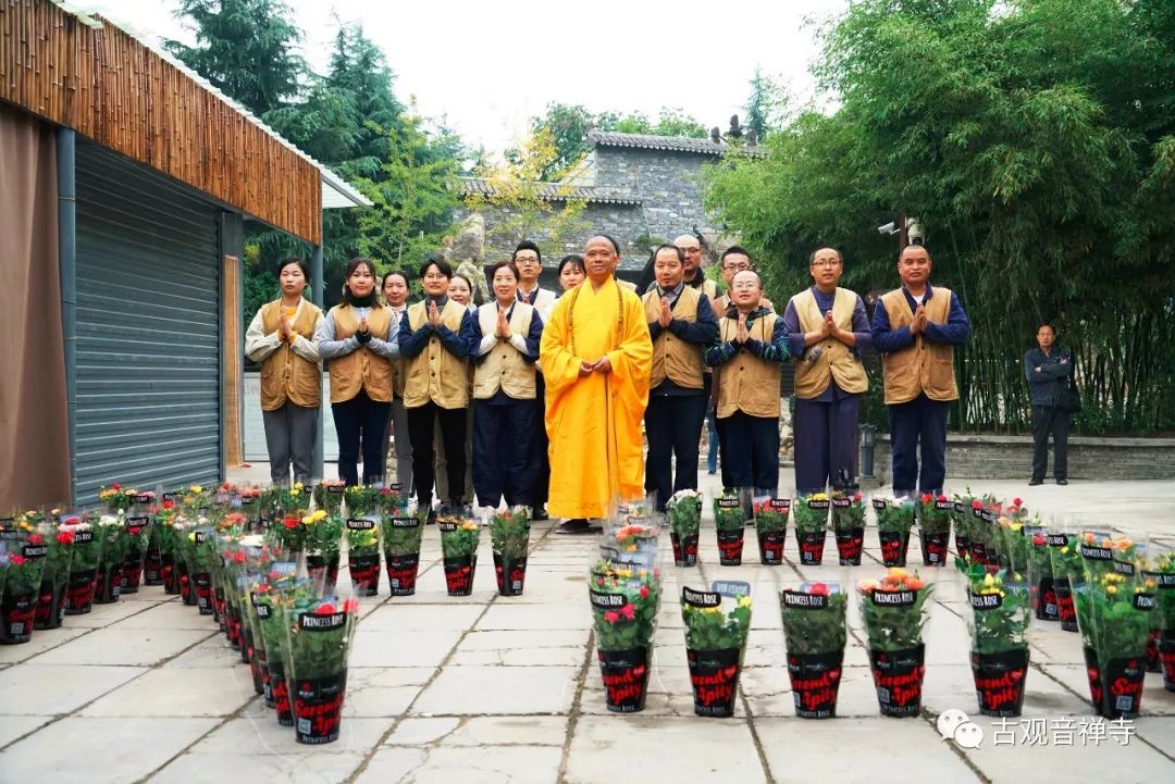 最美银杏季,古观音禅寺义工招募开始