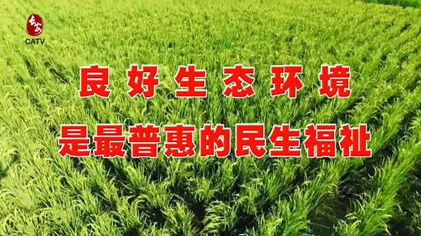 长安区社会保险事业服务中心关于2019年度西