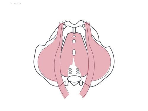 凯格尔运动紧实骨盆底肌!凯格尔运动重点图文