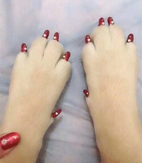 狗狗放女友家2天,接回家我跟狗都哭了!