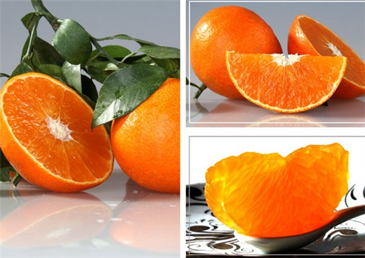 浙江红美人柑橘一亩挣多少钱 柑橘苗价格及种