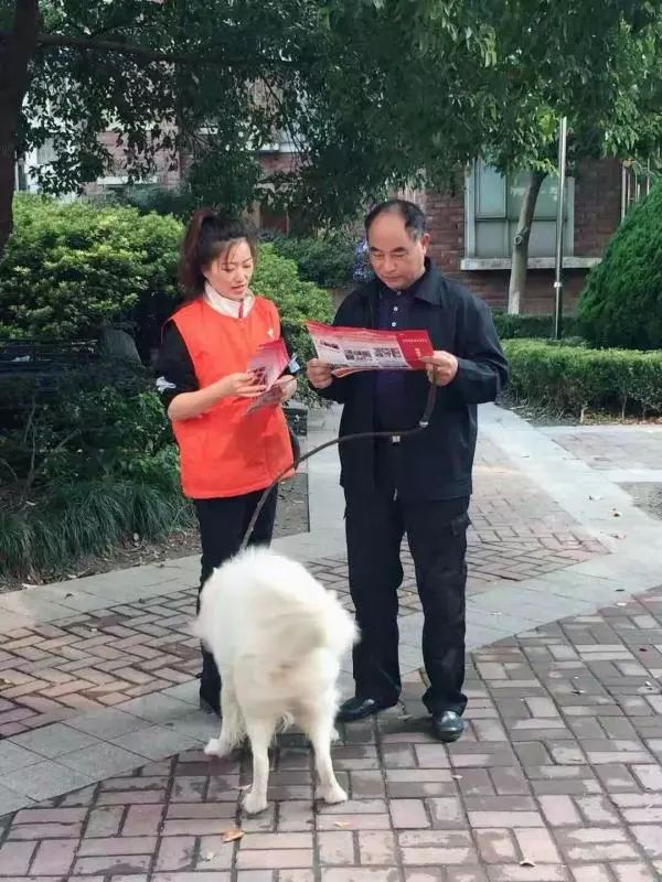 【进博我在岗】宝山区社区平安志愿者为进博消