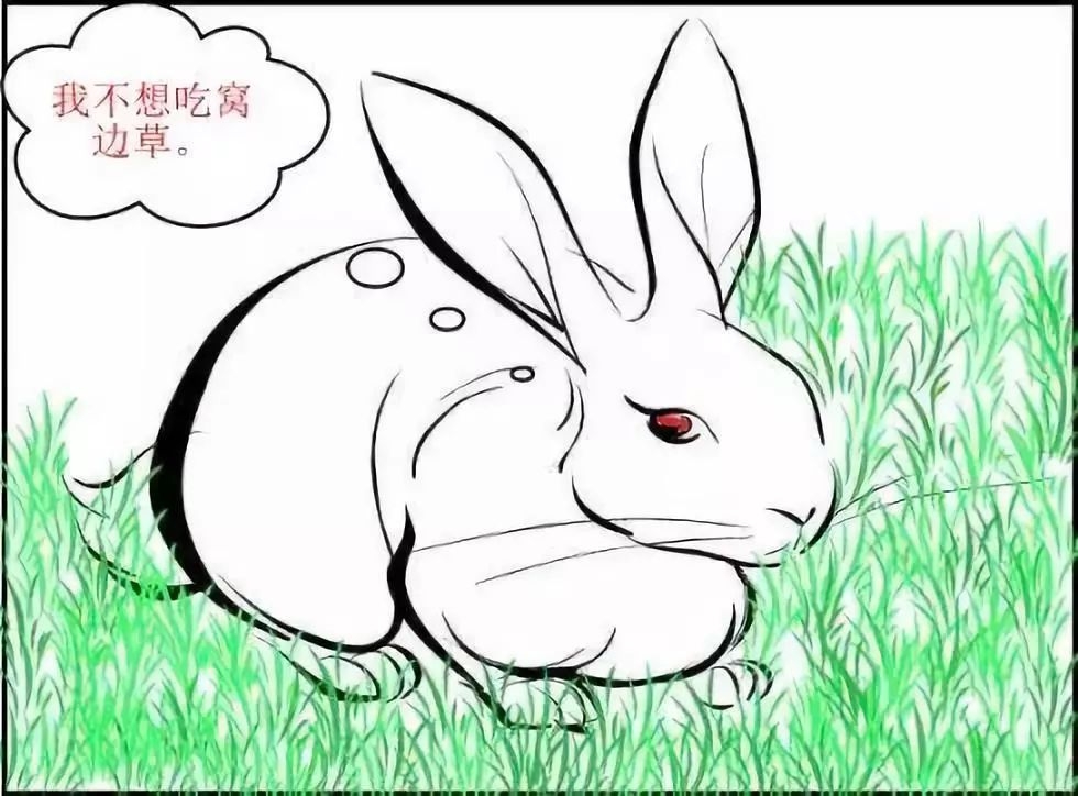 兔子就吃窝边草熙河开边与北宋后期的吞灭青唐吐蕃攻略
