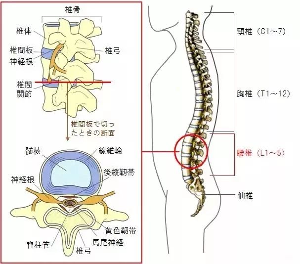 你不是胸小 只是这个部位太翘!