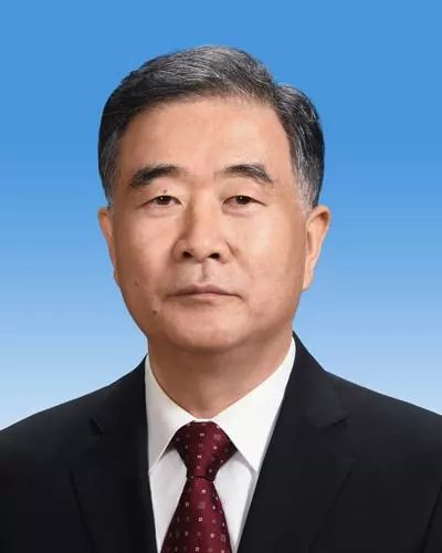 汪洋当选为中国和平统一促进会会长