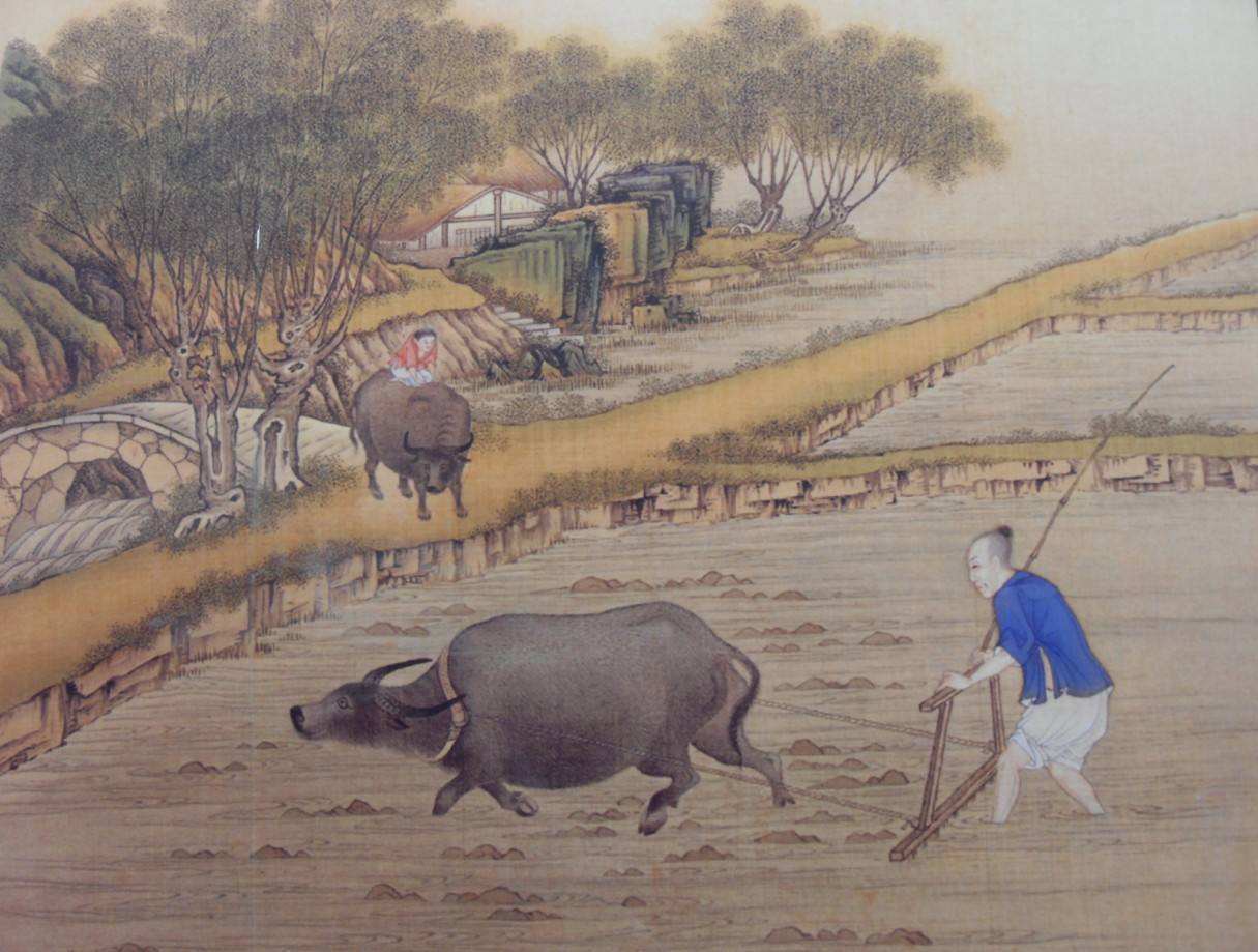 中國風水墨人物農耕, 種地耕種農作物, 趕牛, 一個農民素材圖案，PSD和PNG圖片免費下載