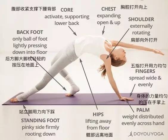 我采访了100位瑜伽老师总结出68个体式细节图简单易学太厉害了