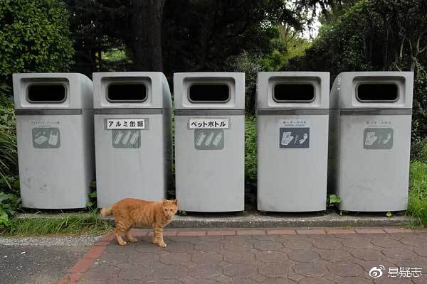 日本悬案之七井之头公园碎尸案:男子被分尸27