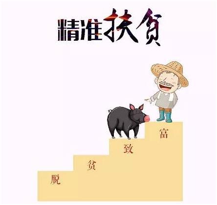 全国第一的随州"黑小猪—黄文博与他的"黑小猪"