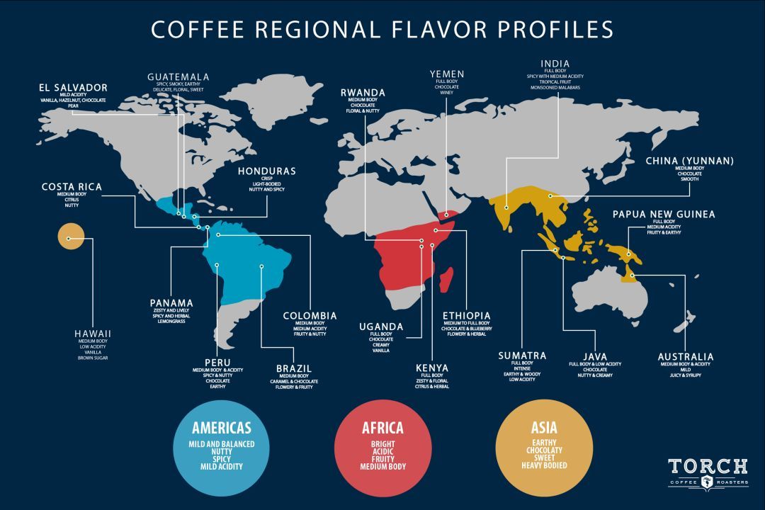今天的咖啡风味地图.图片:torchcoffee.