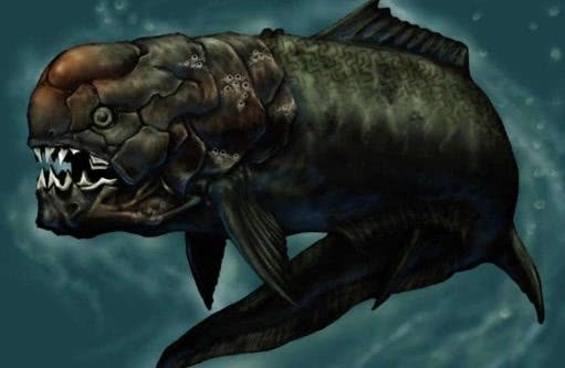 邓氏鱼vs巨齿鲨图片