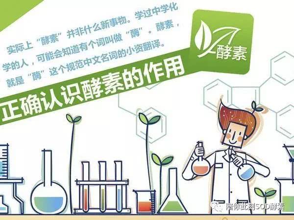 看完酵素的这11个作用没想到最厉害的竟然是它