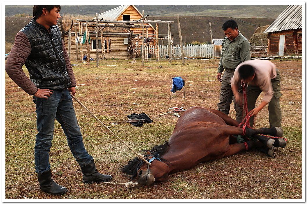 ▲或者是这样的&nbsp;