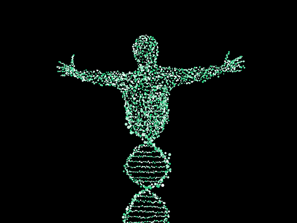6fcb3b5940ec4a36906da15d5b53900a.png 6fcb3b5940ec4a36906da15d5b53900a.png