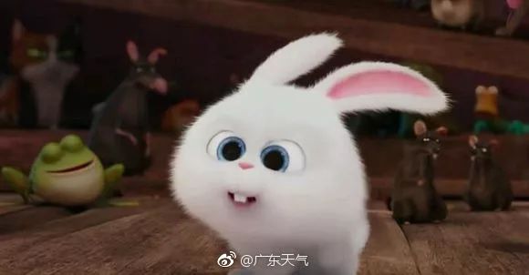 超萌小兔微信超火表情包:真是适合睡觉的天气啊!图片