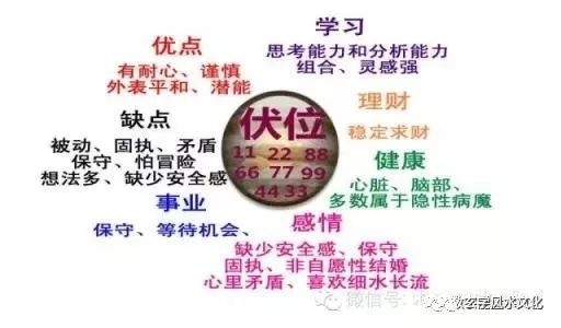 数字组合之祸害磁场加伏位磁场